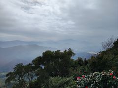 -梧桐山风景名胜区