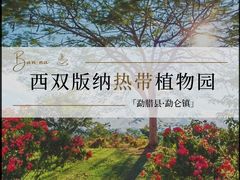 -中国科学院西双版纳热带植物园