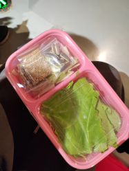 -未来动物城动物主题公园(大悦城店)
