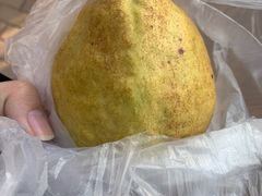 -呀路古热带植物园