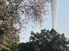 -二沙岛艺术公园