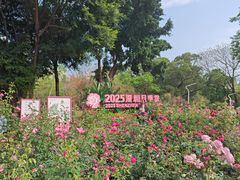 -人民公园(罗湖区)