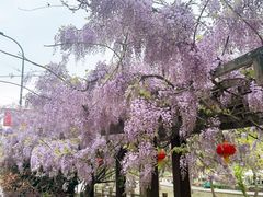 -鹿亭中村