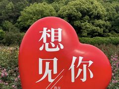 -龙寺生态园