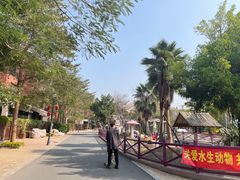 -灵玲国际马戏城