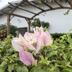 点击看大图 -维倪月子会所(独栋庭院·南海店)