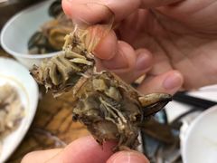 -莫华(锦绣趣园北街店)