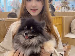 -和它·交个朋友·狗咖猫咖(爱琴海店)