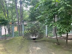 -哈尔滨北方森林动物园