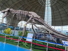 -诸城市恐龙博物馆
