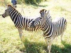 -卡塞拉自然公园