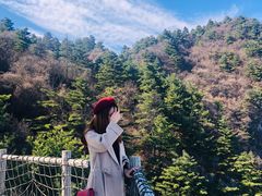 -秦岭天竺山景区