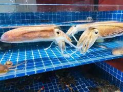 -张会海鲜饭店(东戴河店)