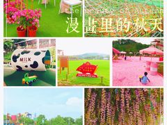 -盈香心动乐园