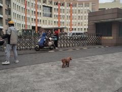 -上海市曹杨职业技术学校