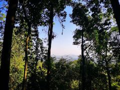 -广州市帽峰山景区