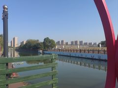 -菊园百果园