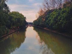 -九科绿洲