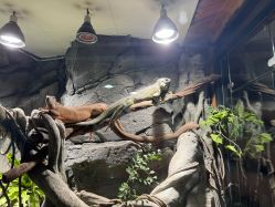 -Zoolung Zoolung动物主题公园(海信广场店)