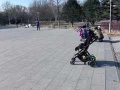 -望湖公园