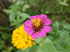 -何适山庄 ·可团建(水长城P2停车场店)