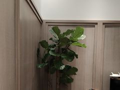 -眉州东坡(大悦城店)