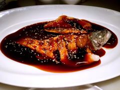 -桂满陇天书(南京德基旗舰店)