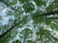 -河南省黄河迎宾馆