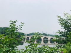 -重庆园博园