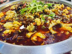 沸腾鱼-蜀膳坊(洪公祠小区店)