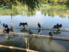 -长兴太湖图影湿地文化园