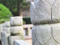 wKgB3FEPwsSAXwa-AD1XKOH4nLc34.groupinfo.w600-月湖公园