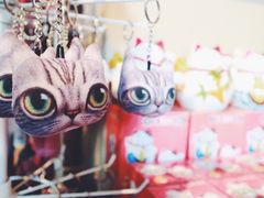 -猫咪博物馆(顶澳仔猫街店)