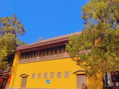 -灵谷景区