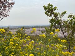 -古柏渡飞黄旅游区