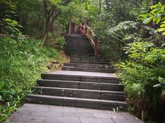 -铁山坪森林公园