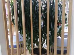 -爱月宝月嫂·育儿嫂(哈尔滨总店)