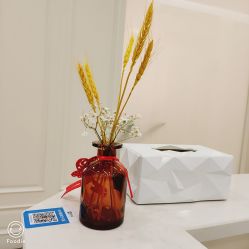 -嘉和医学脱毛中心