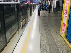 -龙眠大道(地铁站)