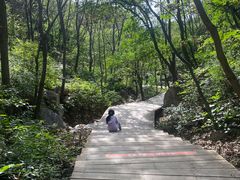 -大岭沟猕猴桃谷风景区