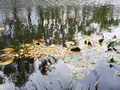 -南长河公园