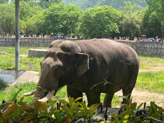 -西安秦岭野生动物园
