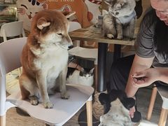 -小时光咖啡馆(北锣鼓巷店)