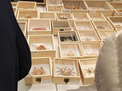 -济南恒隆广场