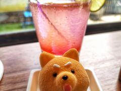 -柴犬高等学院·狗咖·柴犬售卖·宠物训练