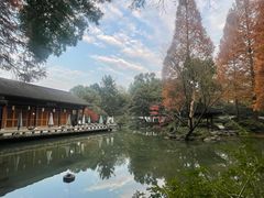 -山外山菜馆(玉泉路店)