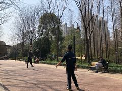 -苏州河梦清园环保主题公园