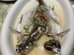 -寻味顺德·珍之宝酒楼(银钻店)