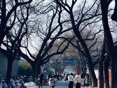 -北京国子监胡同