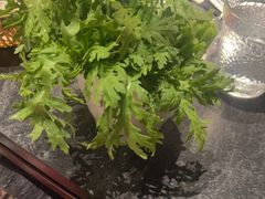 -捞王猪肚鸡火锅(金华义乌之心店)